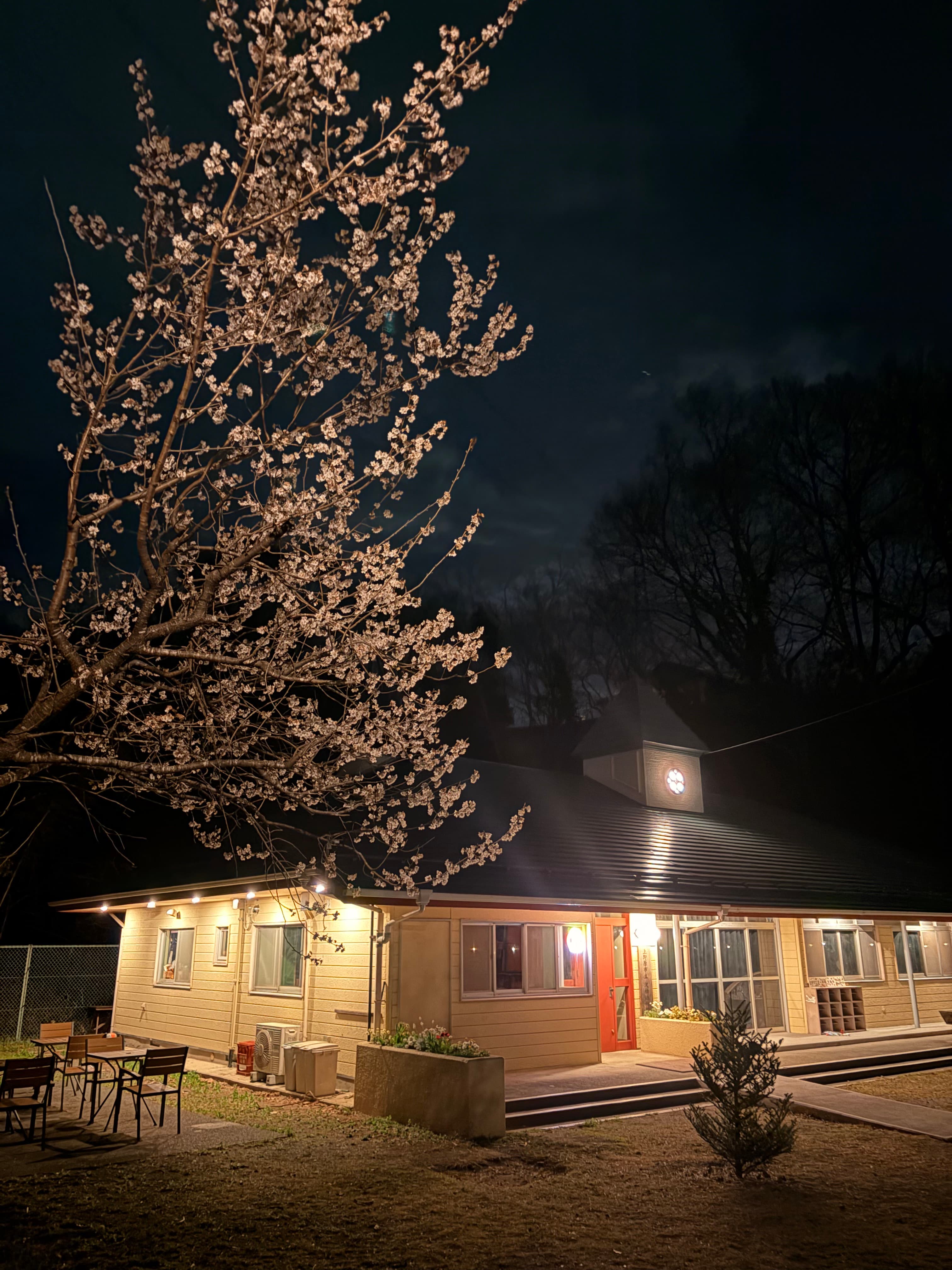 夜桜に照らされるシネヤマの建物（旧・沢松幼稚園）